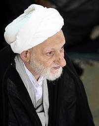 آیا آیت‌الله العظمی بهجت موت اختیاری داشت؟